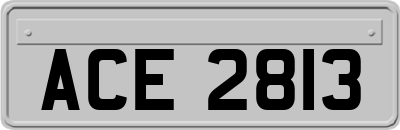 ACE2813