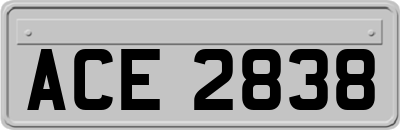 ACE2838