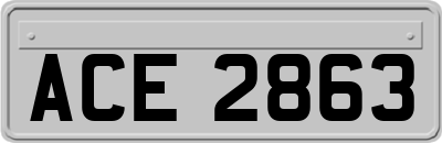 ACE2863