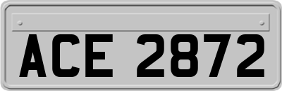 ACE2872