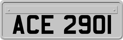 ACE2901