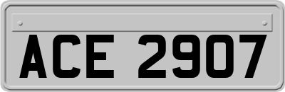 ACE2907
