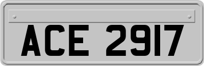 ACE2917