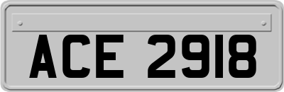 ACE2918
