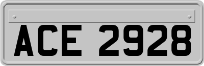 ACE2928