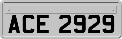 ACE2929