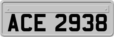 ACE2938