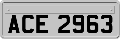 ACE2963