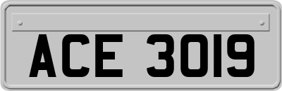 ACE3019