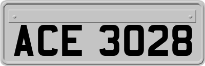 ACE3028