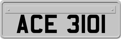 ACE3101