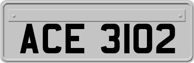 ACE3102