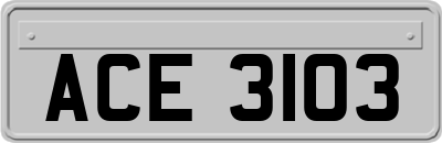 ACE3103