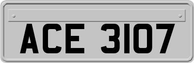 ACE3107