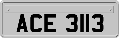 ACE3113