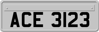 ACE3123