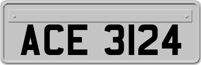 ACE3124