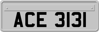 ACE3131