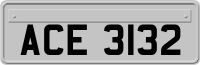 ACE3132
