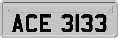 ACE3133