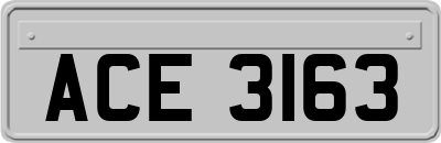 ACE3163