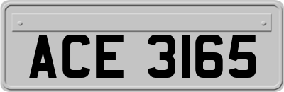 ACE3165