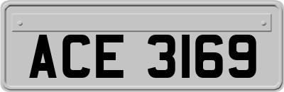 ACE3169