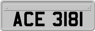 ACE3181