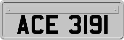 ACE3191