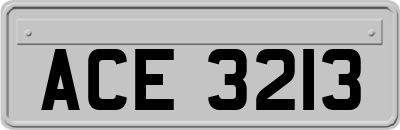 ACE3213