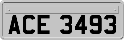 ACE3493