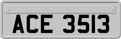 ACE3513
