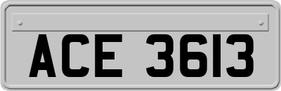 ACE3613