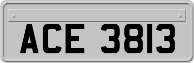 ACE3813
