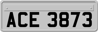 ACE3873