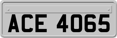 ACE4065