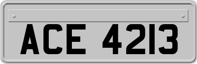 ACE4213
