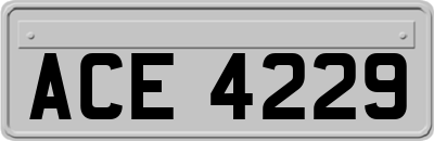 ACE4229