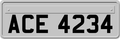 ACE4234