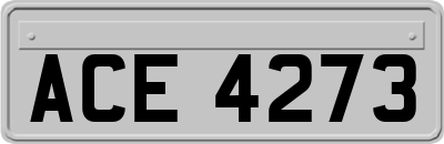 ACE4273