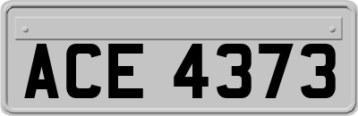 ACE4373