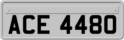 ACE4480