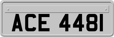 ACE4481