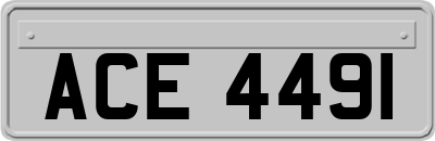 ACE4491