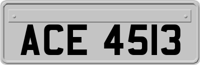 ACE4513