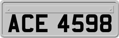 ACE4598