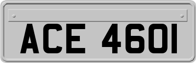 ACE4601