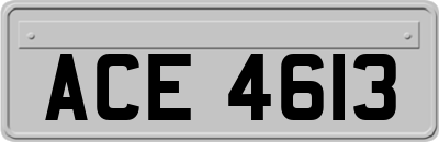 ACE4613