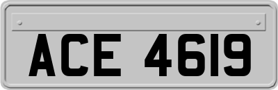 ACE4619