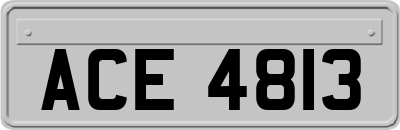 ACE4813